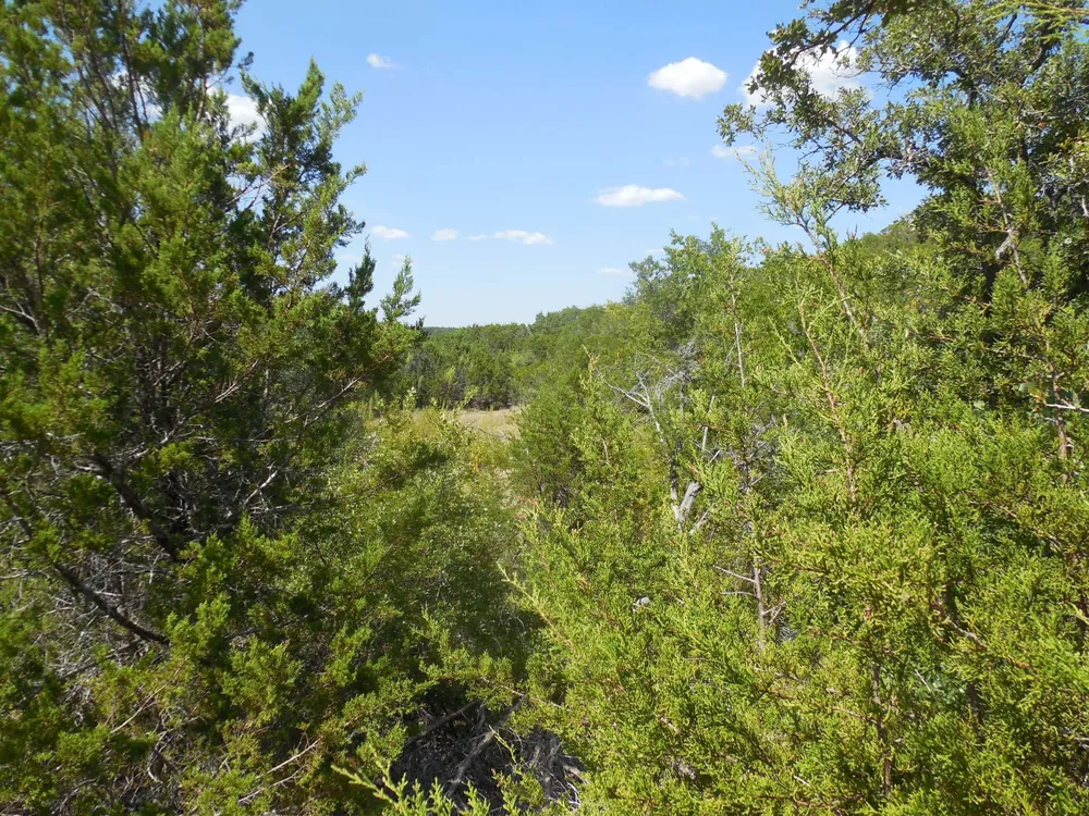 East Loop 254 Ranger, TX 76470
