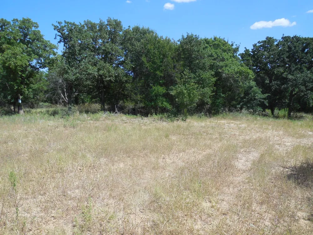 East Loop 254 Ranger, TX 76470