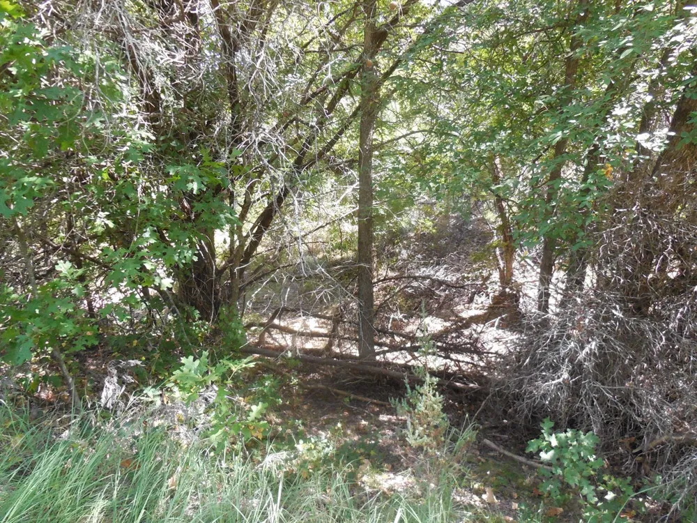 East Loop 254 Ranger, TX 76470