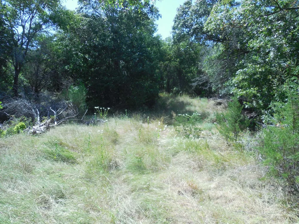 East Loop 254 Ranger, TX 76470