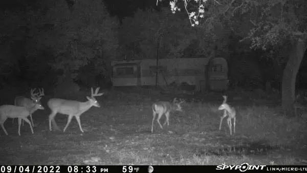 East Loop 254 Ranger, TX 76470