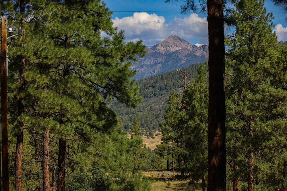 601 W Log Hill Road Pagosa Springs, CO 81147