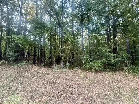 19 Towaliga Lake Drive