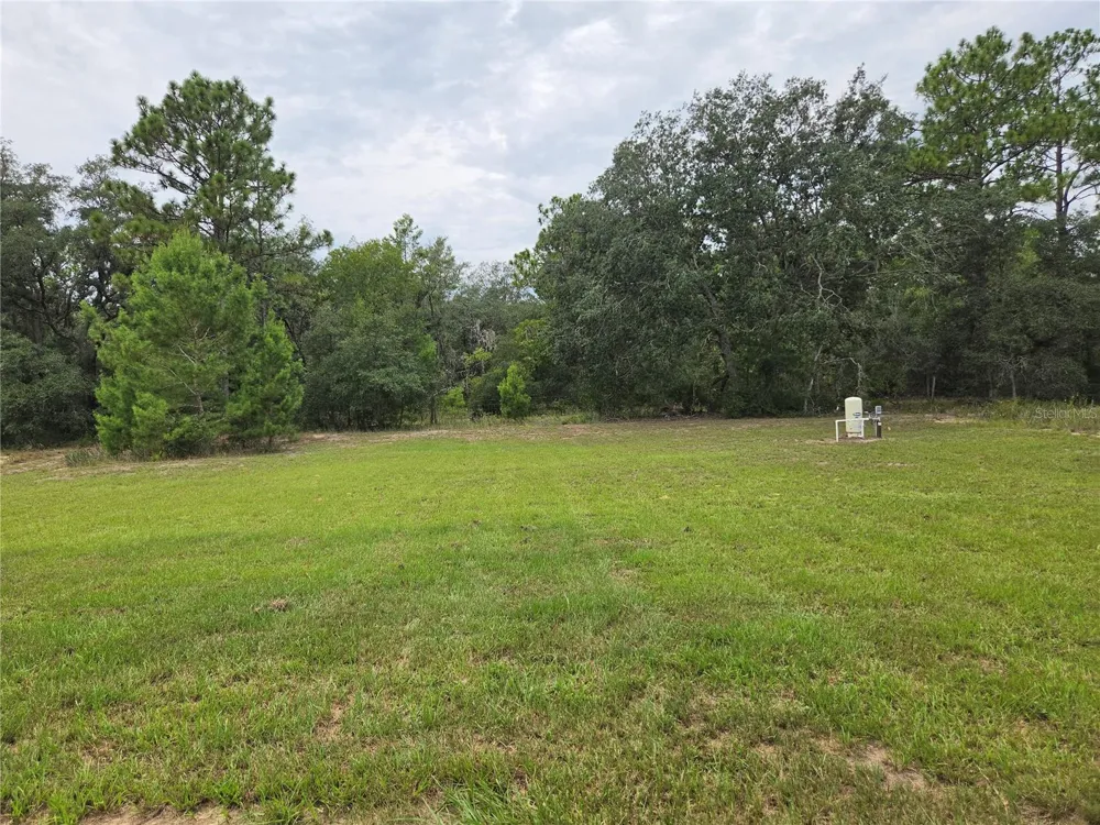 353 FISHER WAY Ocklawaha, FL 32179