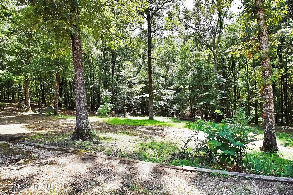4384 Susan Lane Hernando, MS 38632