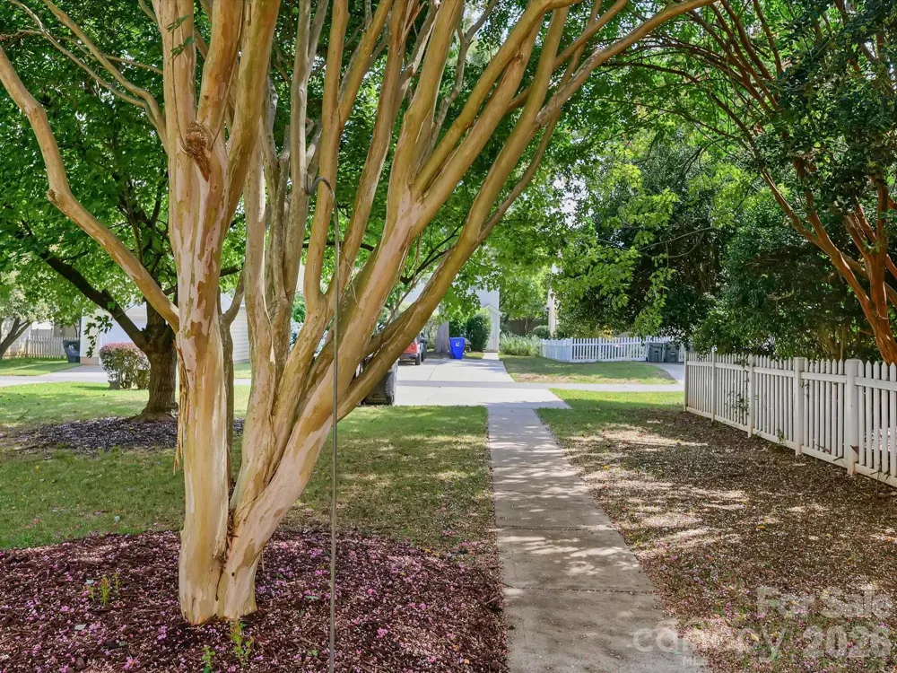 8515 Lindholm Drive Huntersville, NC 28078