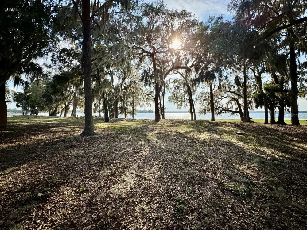 25105 NE 143RD STREET Salt Springs, FL 32134
