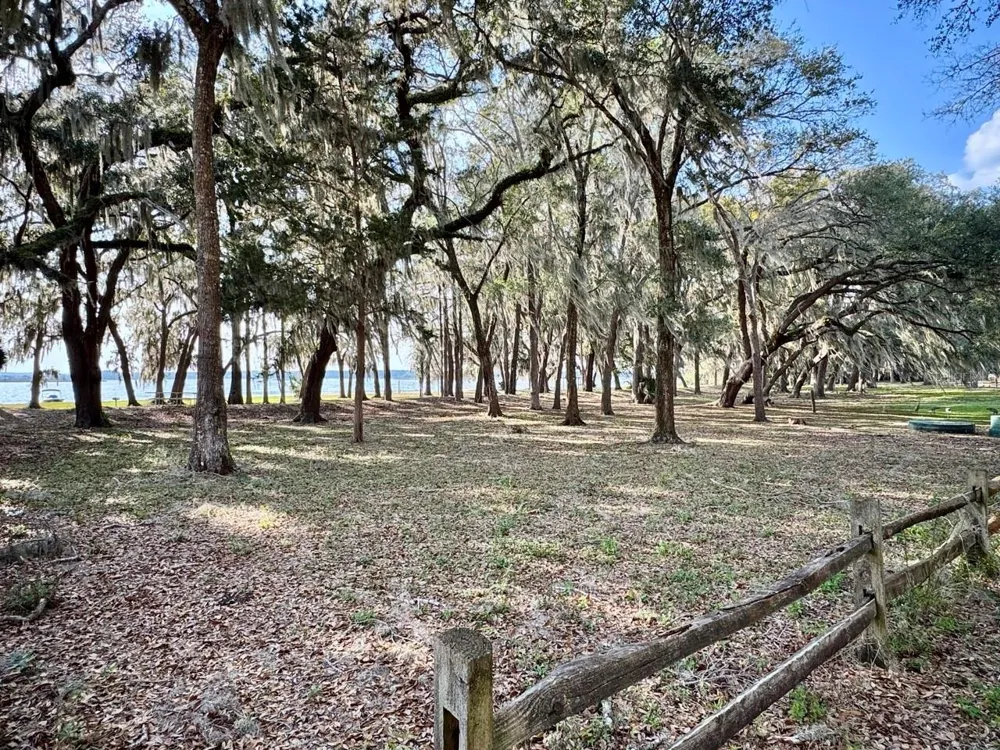 25105 NE 143RD STREET Salt Springs, FL 32134