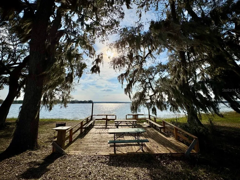 25105 NE 143RD STREET Salt Springs, FL 32134