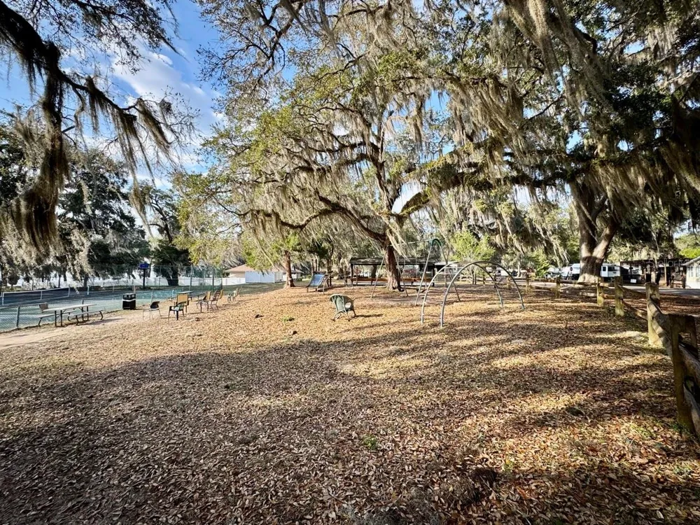 25105 NE 143RD STREET Salt Springs, FL 32134
