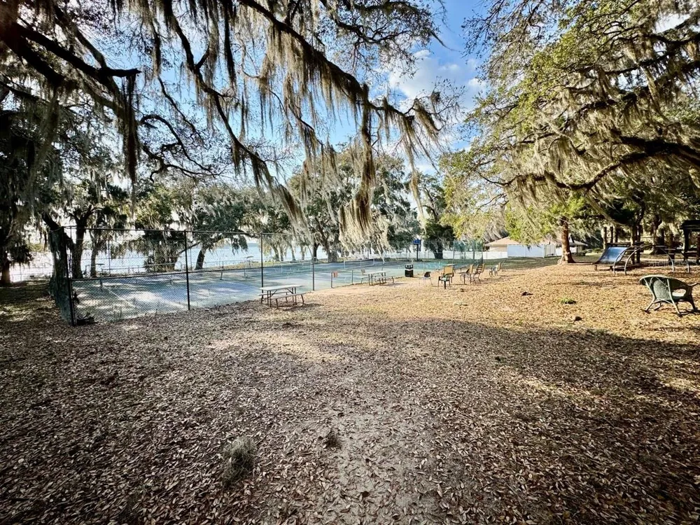 25105 NE 143RD STREET Salt Springs, FL 32134