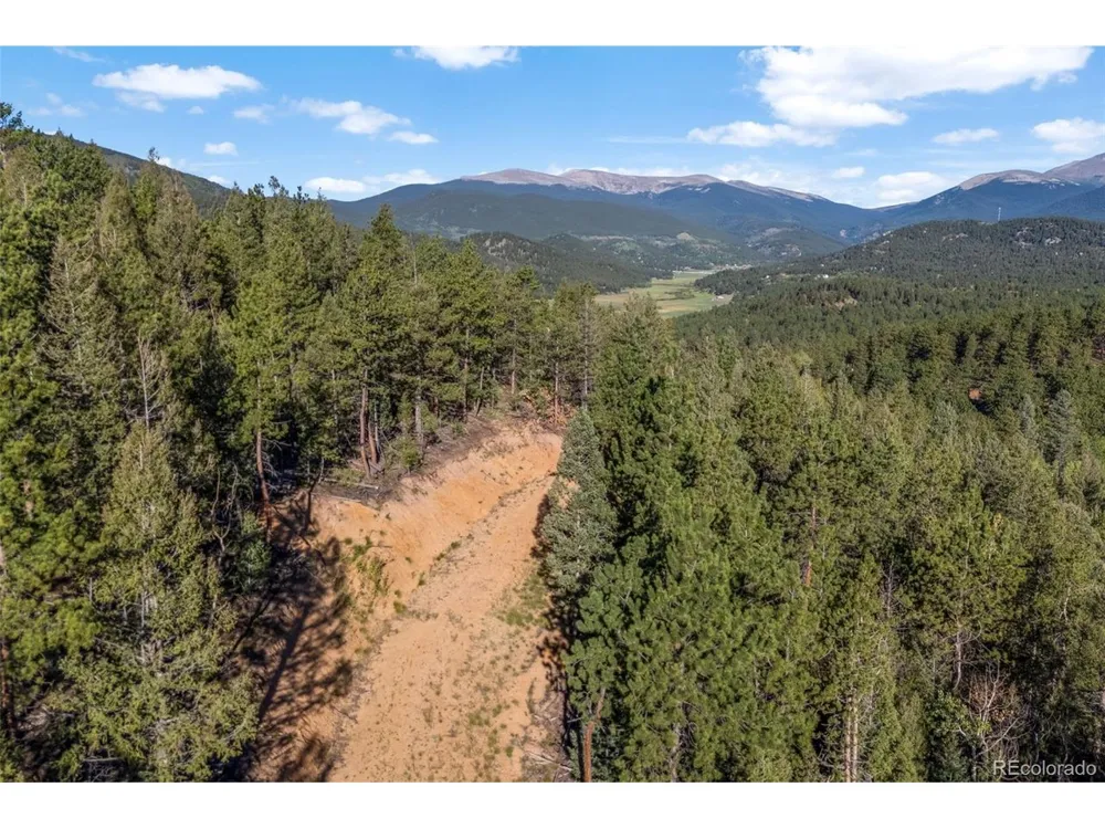 157 Saddle Horn Lane Bailey, CO 80421