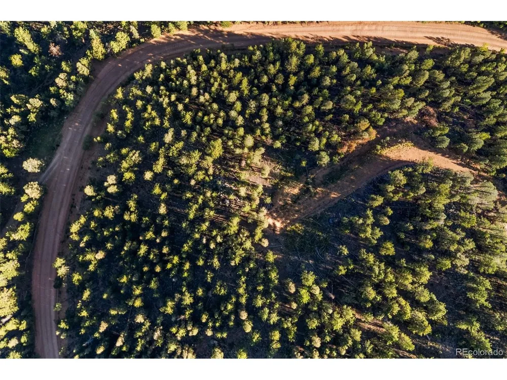 157 Saddle Horn Lane Bailey, CO 80421
