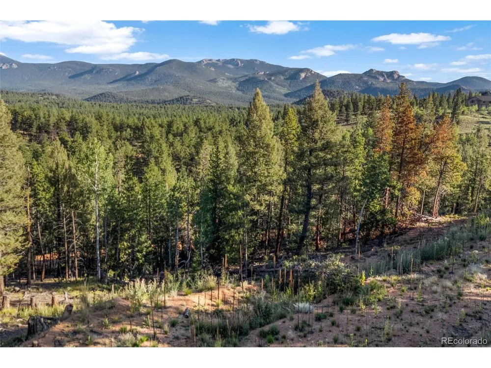 157 Saddle Horn Lane Bailey, CO 80421