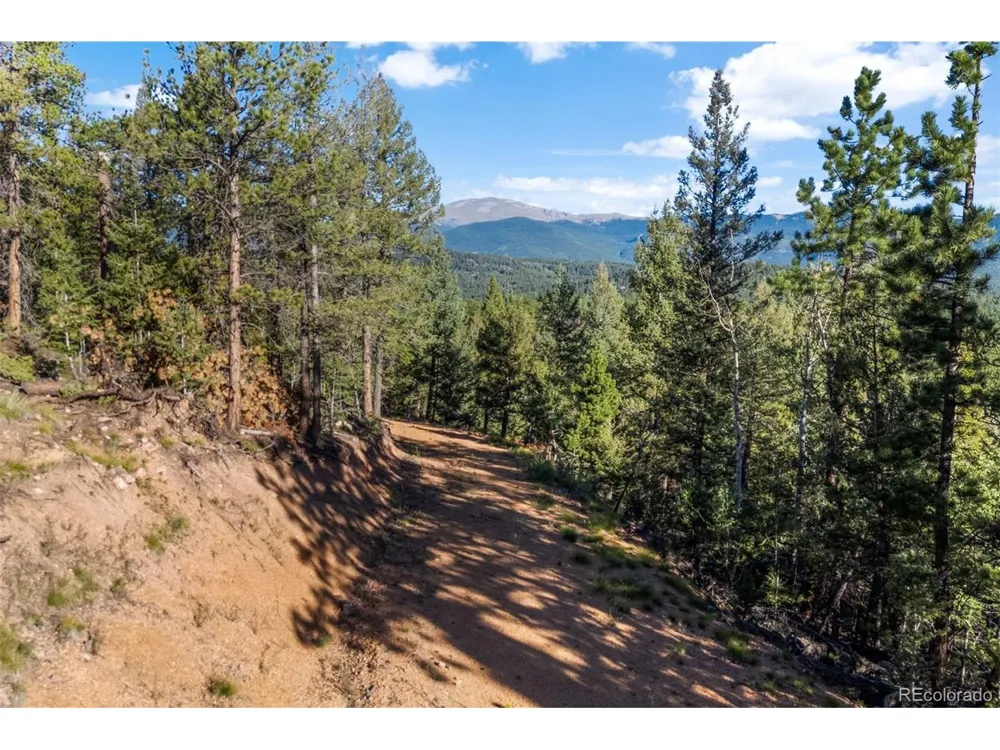157 Saddle Horn Lane Bailey, CO 80421