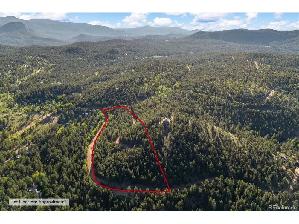 157 Saddle Horn Lane Bailey, CO 80421