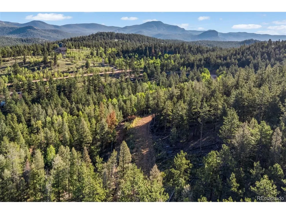 157 Saddle Horn Lane Bailey, CO 80421