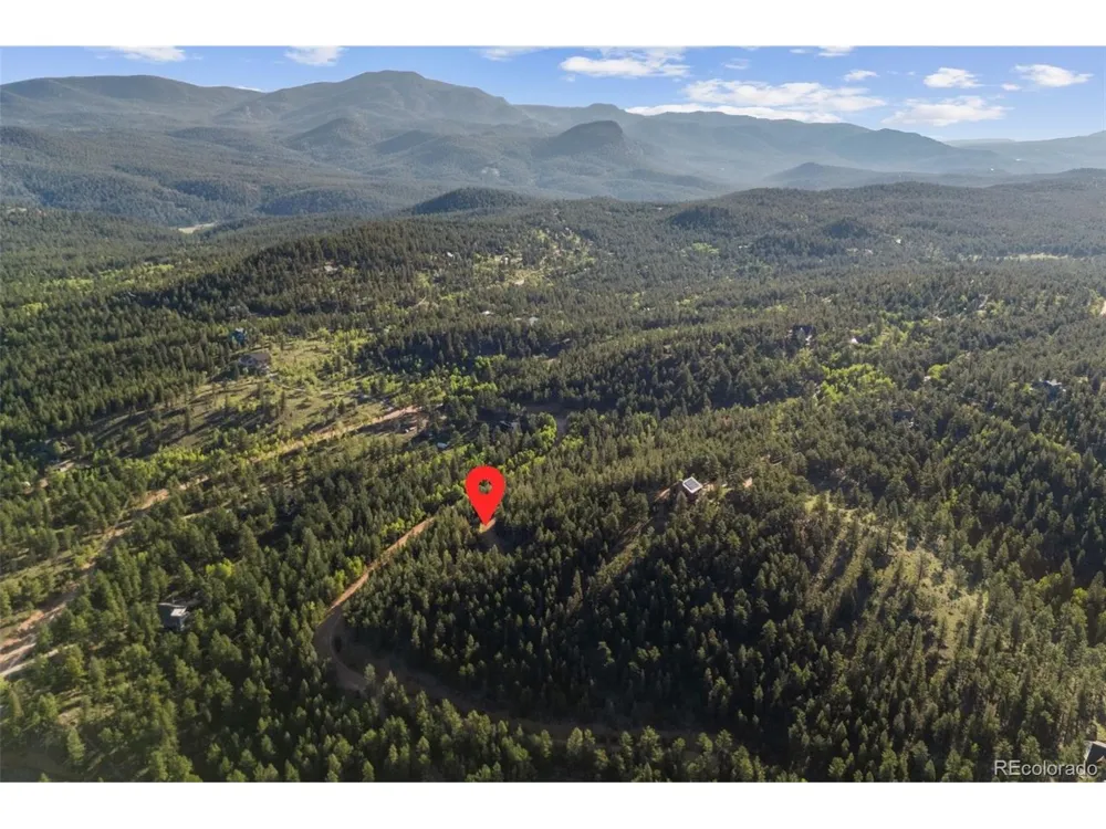 157 Saddle Horn Lane Bailey, CO 80421