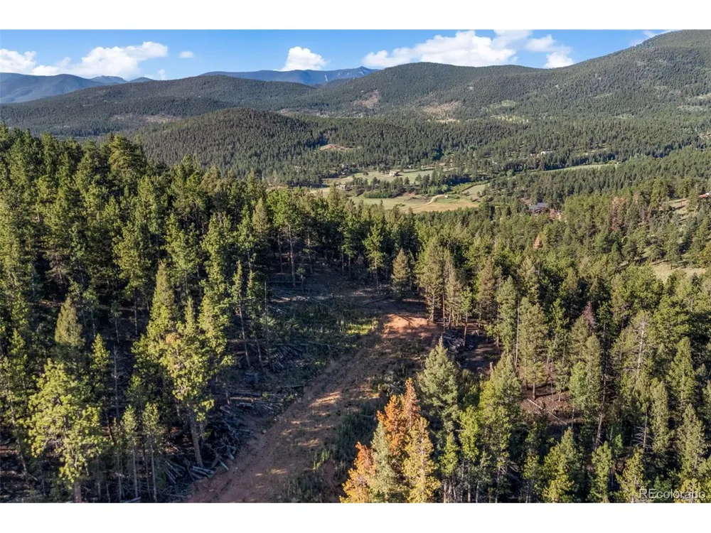 157 Saddle Horn Lane Bailey, CO 80421
