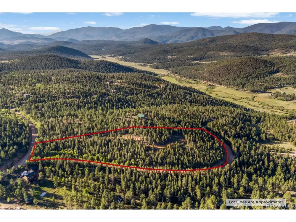 157 Saddle Horn Lane Bailey, CO 80421
