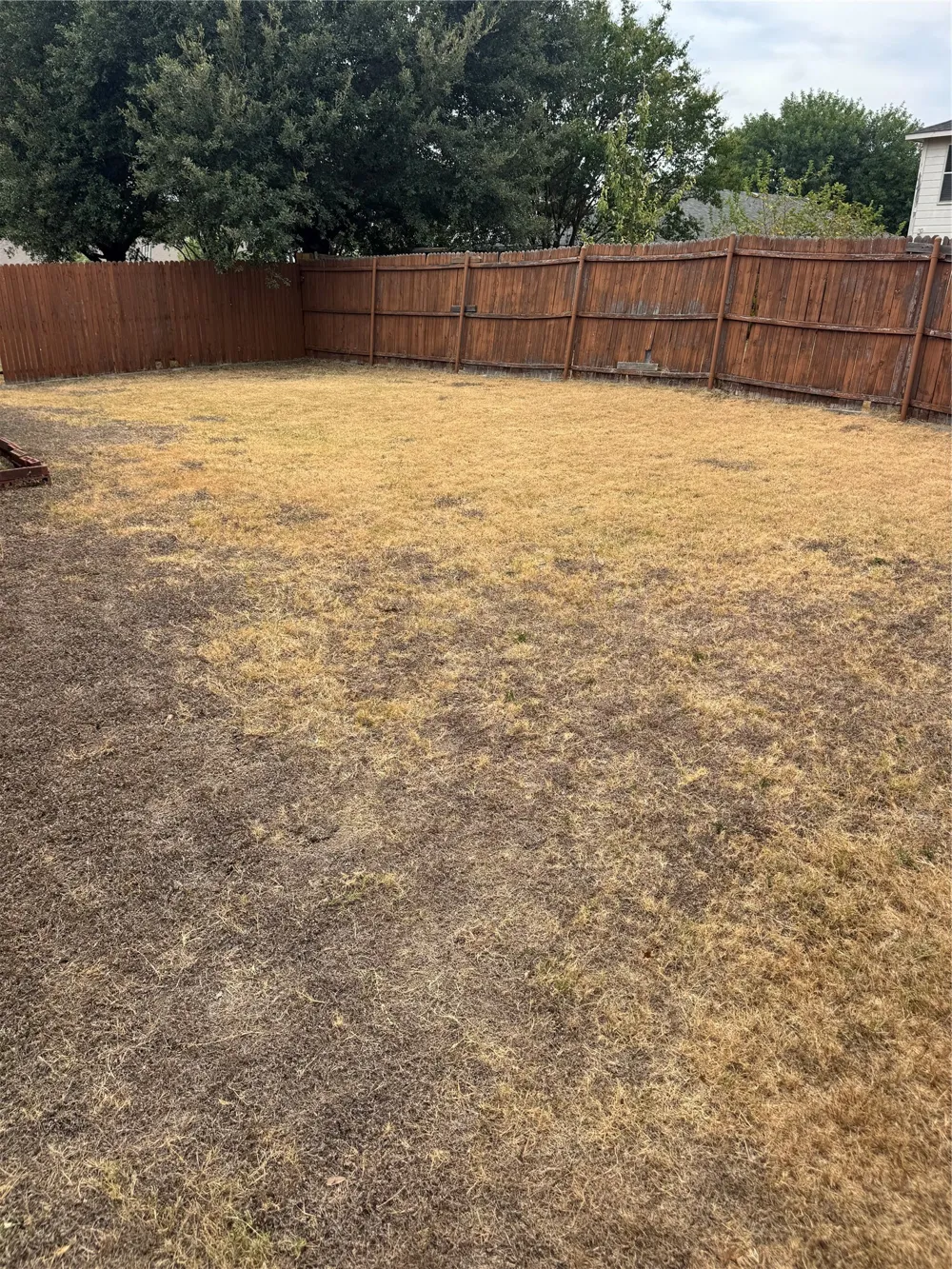 2720 Cedar Crest Drive Little Elm, TX 75068
