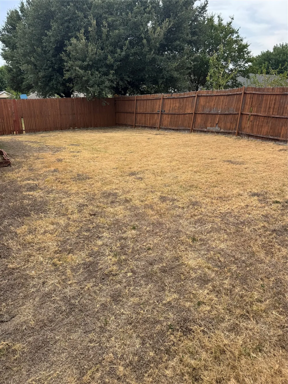 2720 Cedar Crest Drive Little Elm, TX 75068