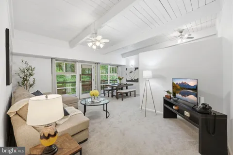 4335 AMERICANA DRIVE #203