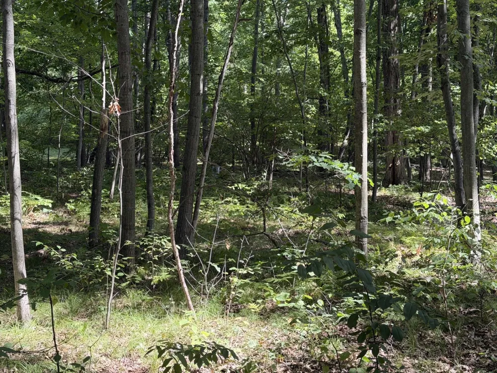 7785 Arrowhead Drive Sherman Township, MI 48893