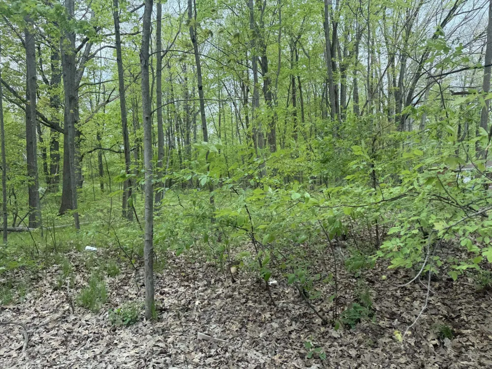 7785 Arrowhead Drive Sherman Township, MI 48893
