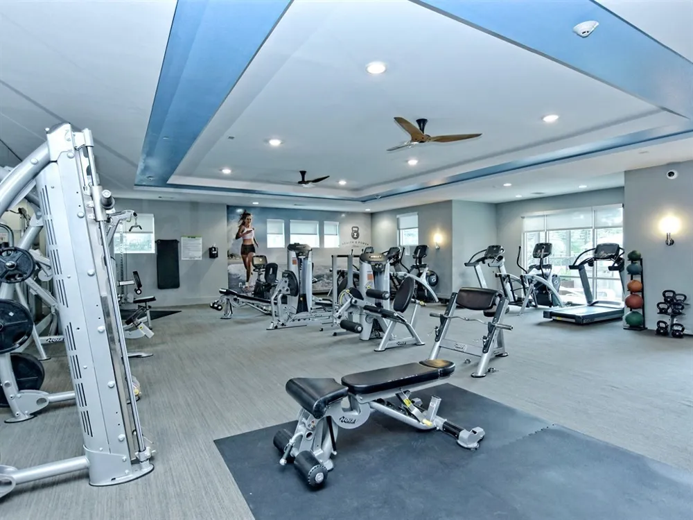1900 Barton Springs Road #5031 Austin, TX 78704