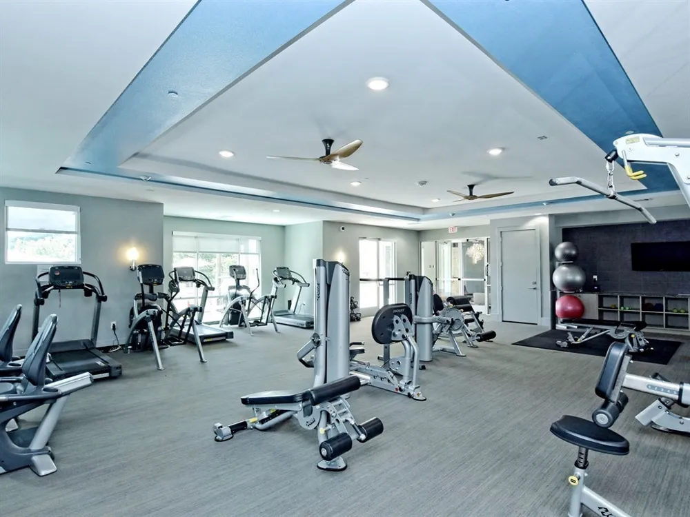 1900 Barton Springs Road #5031 Austin, TX 78704