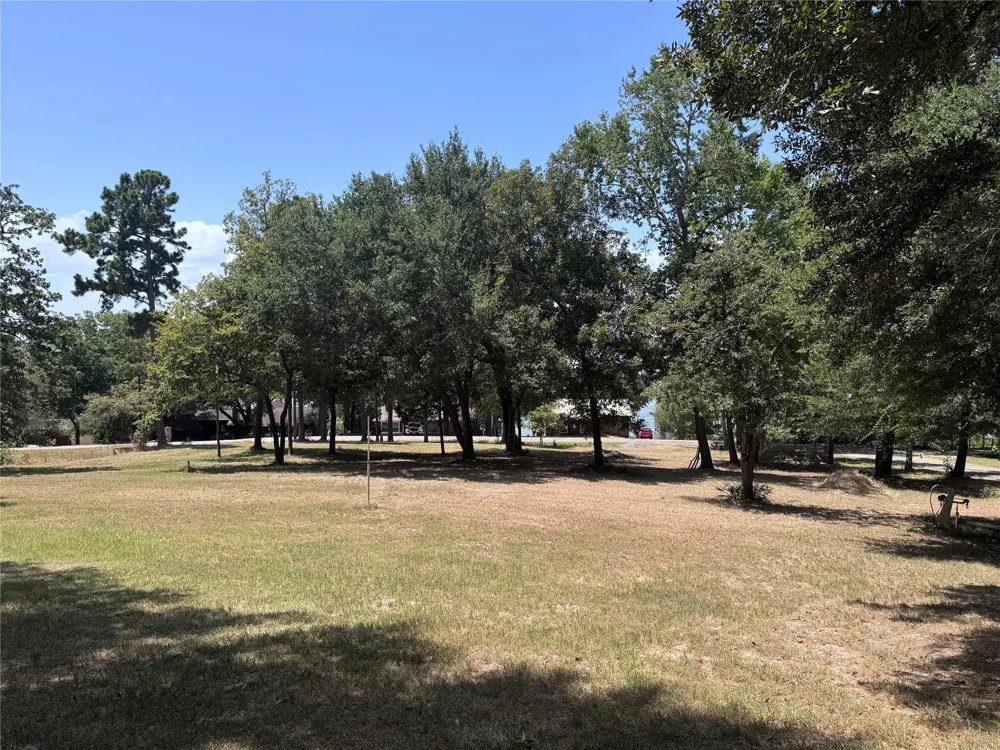 445 Loop Drive Livingston, TX 77351