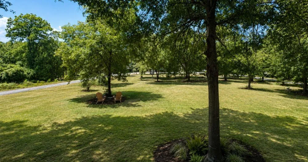 445 Loop Drive Livingston, TX 77351