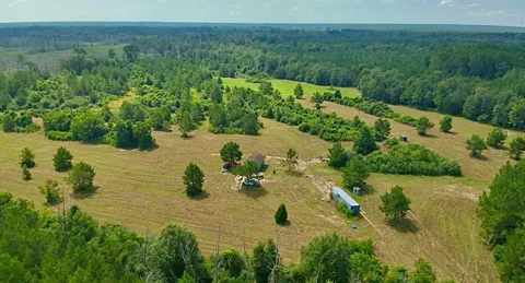 81363 George Sanner Rd