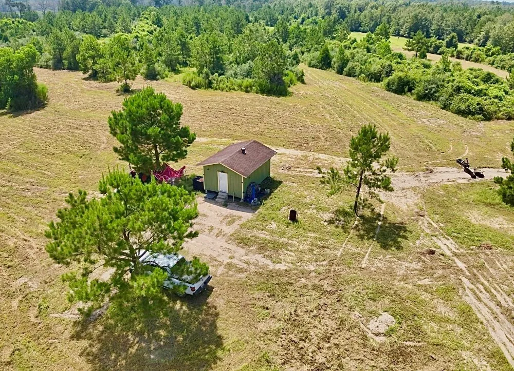 81363 George Sanner Rd Village Mills, TX 77663