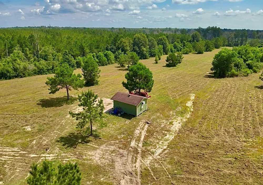 81363 George Sanner Rd Village Mills, TX 77663