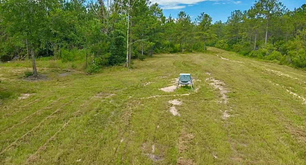 81363 George Sanner Rd Village Mills, TX 77663