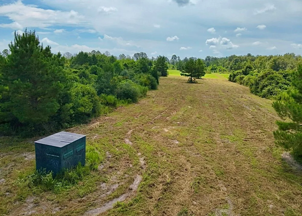 81363 George Sanner Rd Village Mills, TX 77663