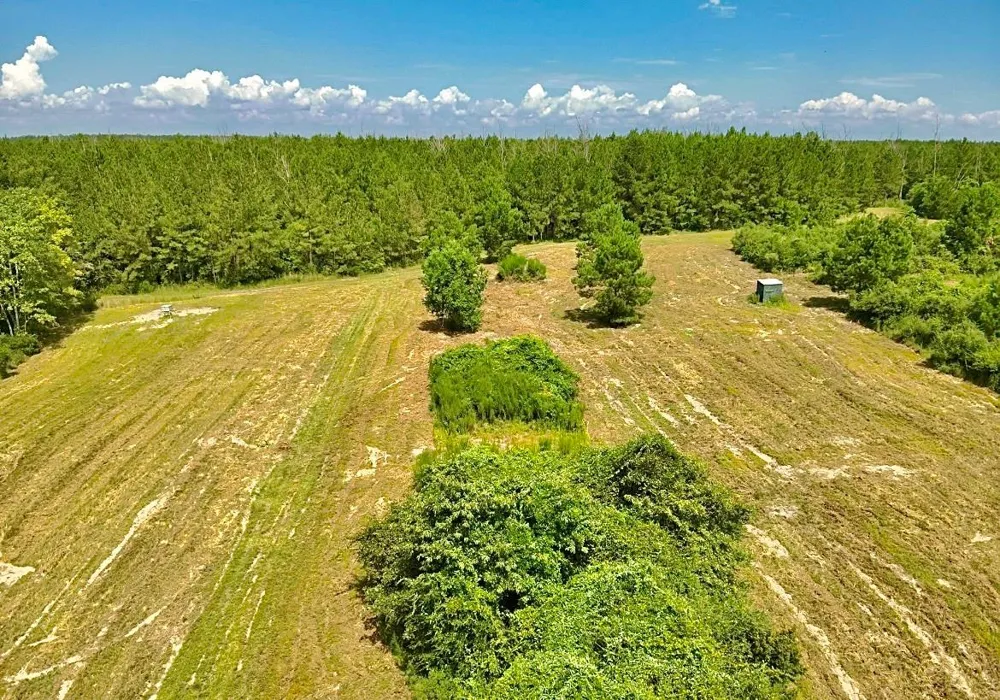 81363 George Sanner Rd Village Mills, TX 77663