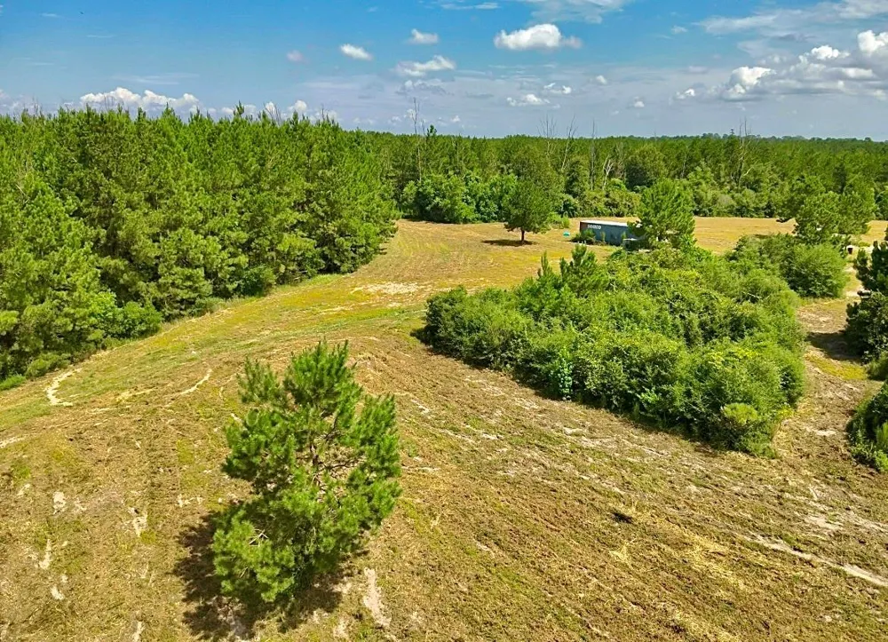81363 George Sanner Rd Village Mills, TX 77663