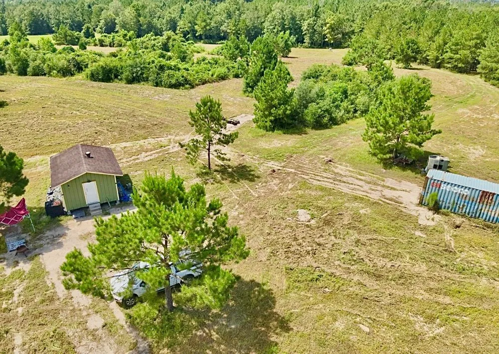 81363 George Sanner Rd Village Mills, TX 77663