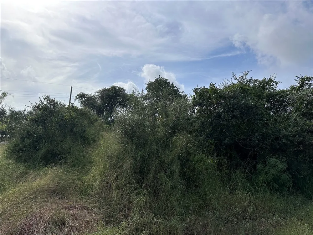 159 Dolphin Drive Rockport, TX 78382