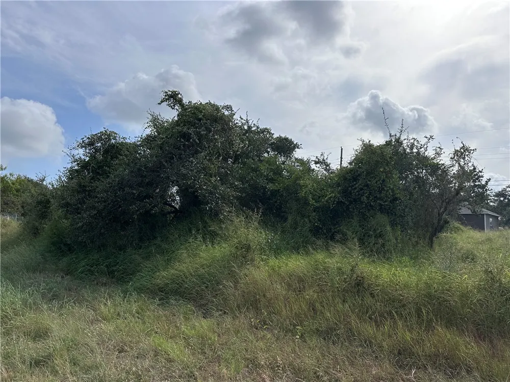 159 Dolphin Drive Rockport, TX 78382