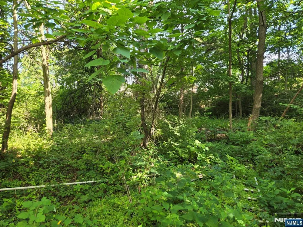 2 Hewlett Road Montville Township, NJ 07082