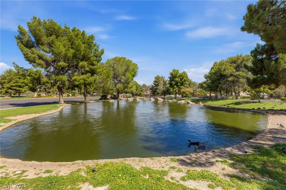 9725 Cascade Falls Avenue Las Vegas, NV 89117