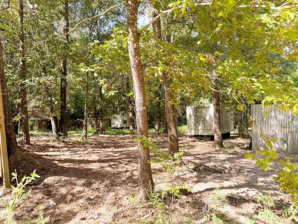 19124 Leicester New Caney, TX 77357