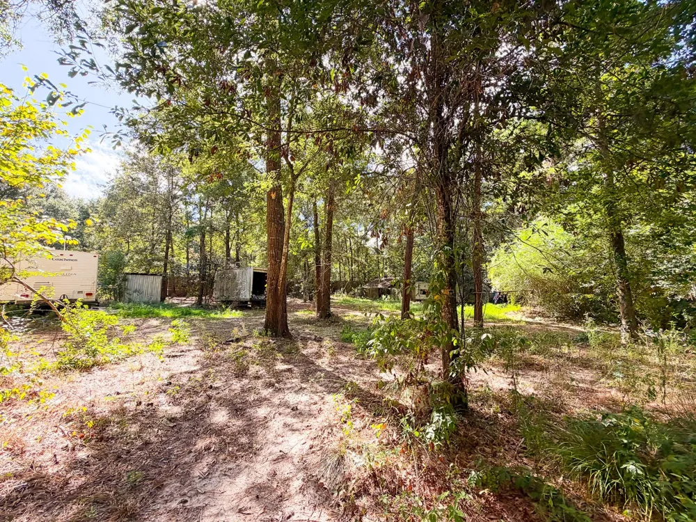 19124 Leicester New Caney, TX 77357