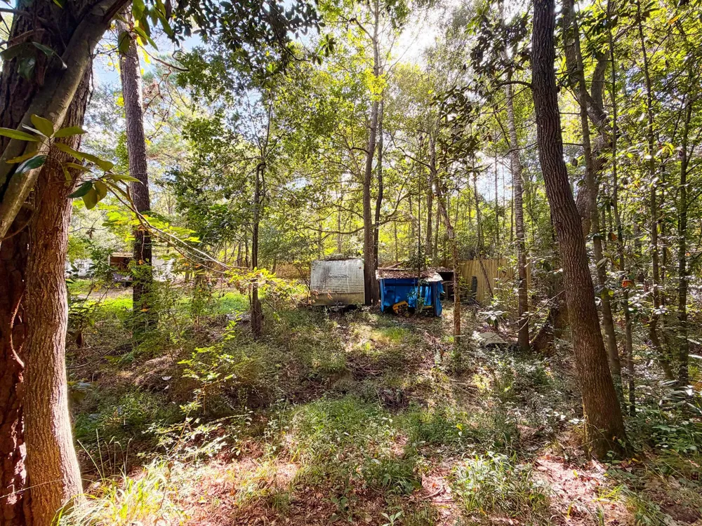 19124 Leicester New Caney, TX 77357