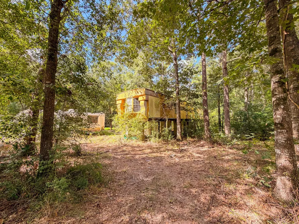 19124 Leicester New Caney, TX 77357