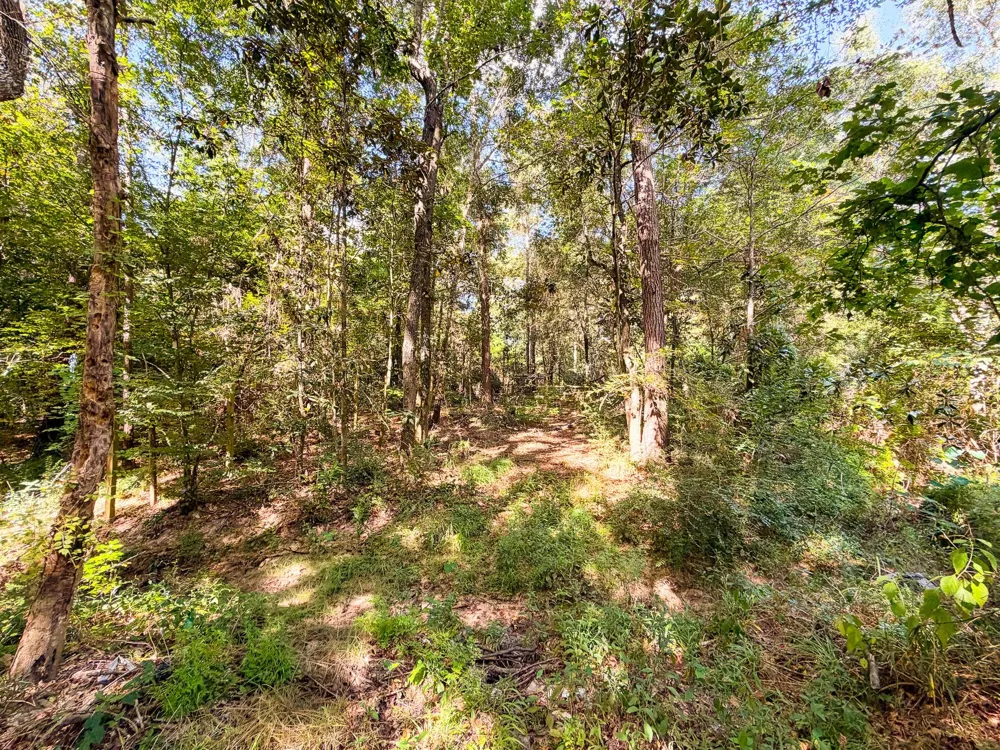 19124 Leicester New Caney, TX 77357